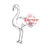 Gummiapan Gummistempel 18040326 - Flamingo Fl&uuml;gel Tier Vogel Wasser Natur