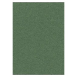 Card Deco A4 Unipapier Forest Green - Waldgr&uuml;n...