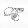 Gummiapan Gummistempel 22070101 - Zitrone Limone Frucht sauer Getr&auml;nk Cocktail