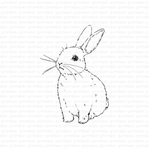 Gummiapan Gummistempel 22020106 - Hase Kaninchen Osterhase Tier Ostern Haustier
